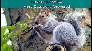 Panasonic Lumix F80/82 More of Your Questions Answered