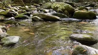 Mountain Oasis: Serene Pool and Stream in the Smoky Mountains