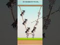Slide the rope to rescue all the rats. #shorts #game