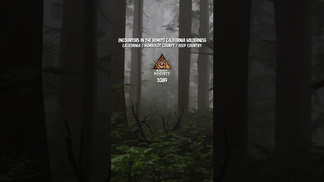 He spent 25 years living in one of the most active Bigfoot regions in America… It started with rocks