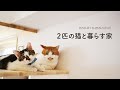 【住まいと暮らし】2匹の猫と暮らす家 / マンションリノベーション / 猫くらし