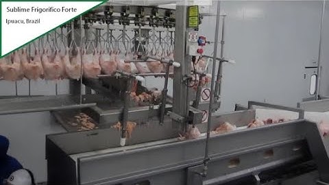 Get the Next Level of Poultry Processing with Complete Slaughter Line