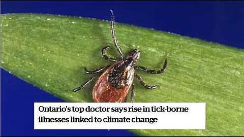 Top doctor says rise in tick-borne illnesses linked to climate change
