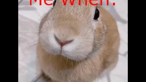 Roblox Item Asylum | Custom Juggernauts!