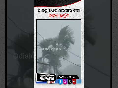 ଆନ୍ଦ୍ରକୁ ଅଧିକ ଛାରଖାର କଲା ବାତ୍ୟା ଅର୍ଣ୍ଣବ #ytshorts #shortsvideo