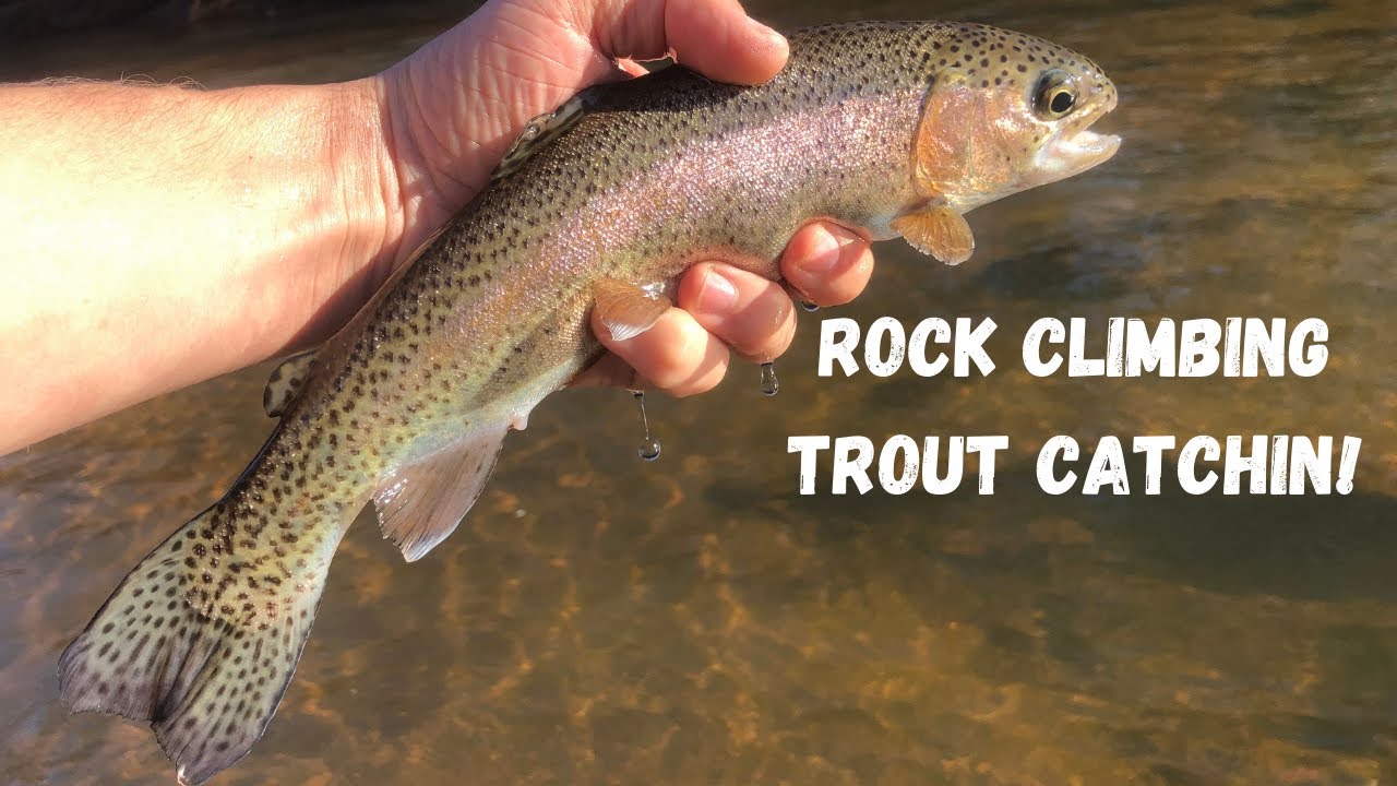 Fly Fishing & Bouldering the Chattahoochee River HD YouTube
