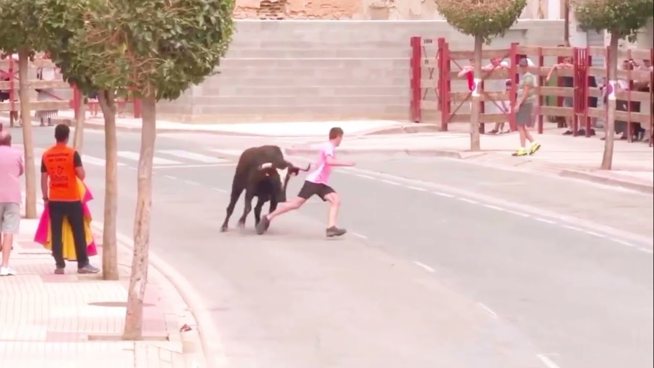 Parece cine, pero es España 🇪🇸 🐂🐄Cuando crees que ves todo de Netflix y ves tu barrio #youtubeviral 