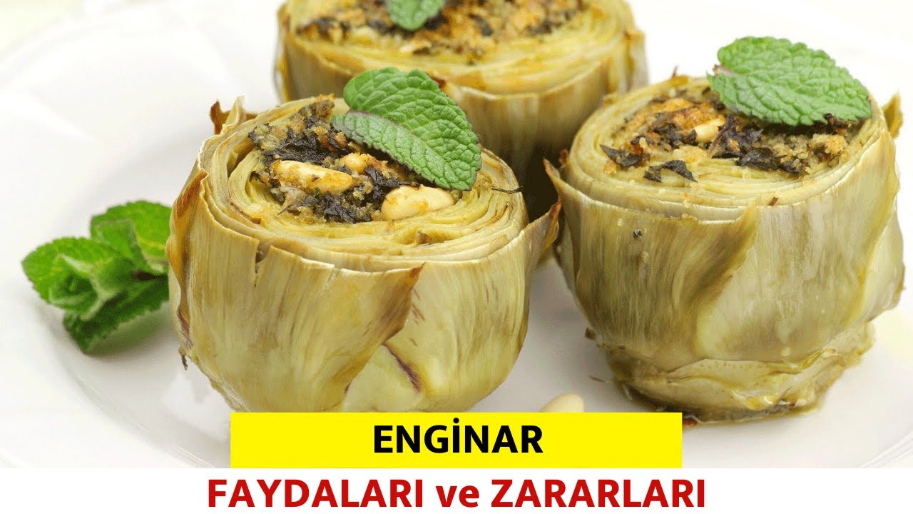 Enginar Faydaları Nelerdir? – Pratik Yemek Tariflerim