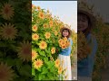 Hoa dã quy#video #flowers #foryou #hoadaquy