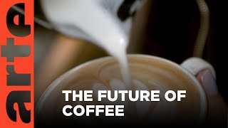 The Future of Coffee | ARTE.tv Documentary