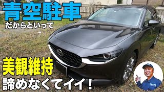 新車で納車されてから１０か月、洗車回数１２回、染みや洗車キズといった「粗」をプロ用の高演色性LEDライトで照らしホジくっていく