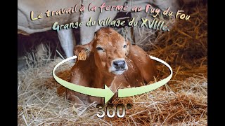 Le travail de la ferme au Puy du Fou -  la grange du village du XVIIIe. (Visite Virtuelle)