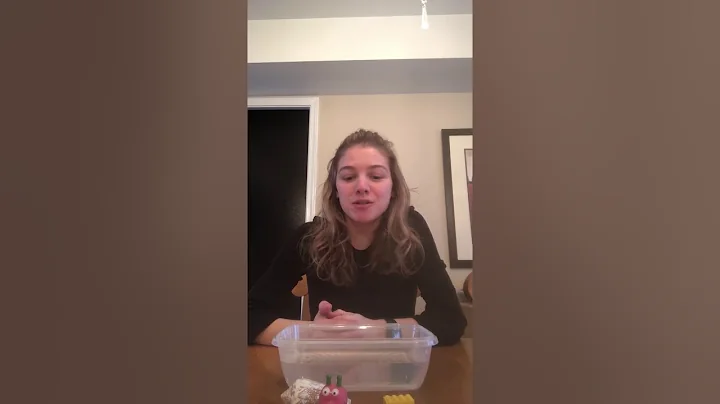 Science Experiment: day 1- Sink or Float