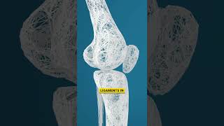 The Truth About Prolotherapy 🩺