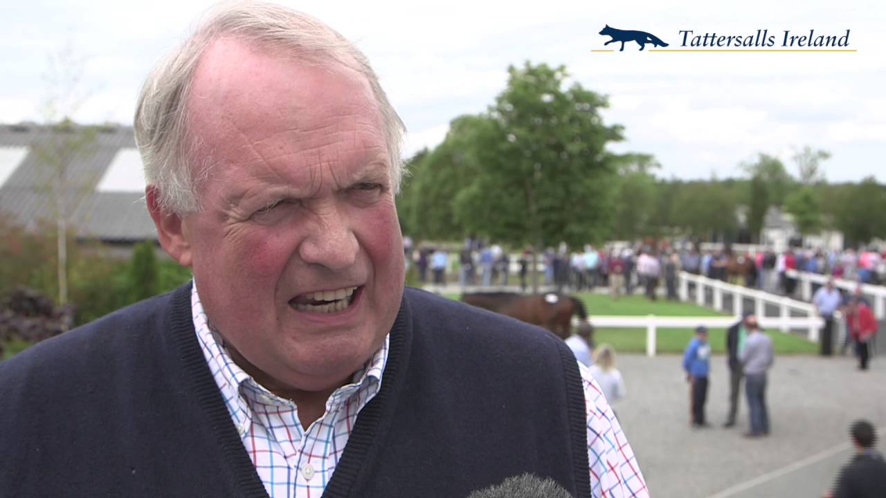 What the Experts Say David Minton on the Derby Sale YouTube