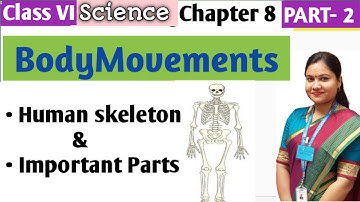 Body Movements Chapter 8 Class 6 /Part 2/ Human Skeleton Explained | Class 6 Science Chapter 8
