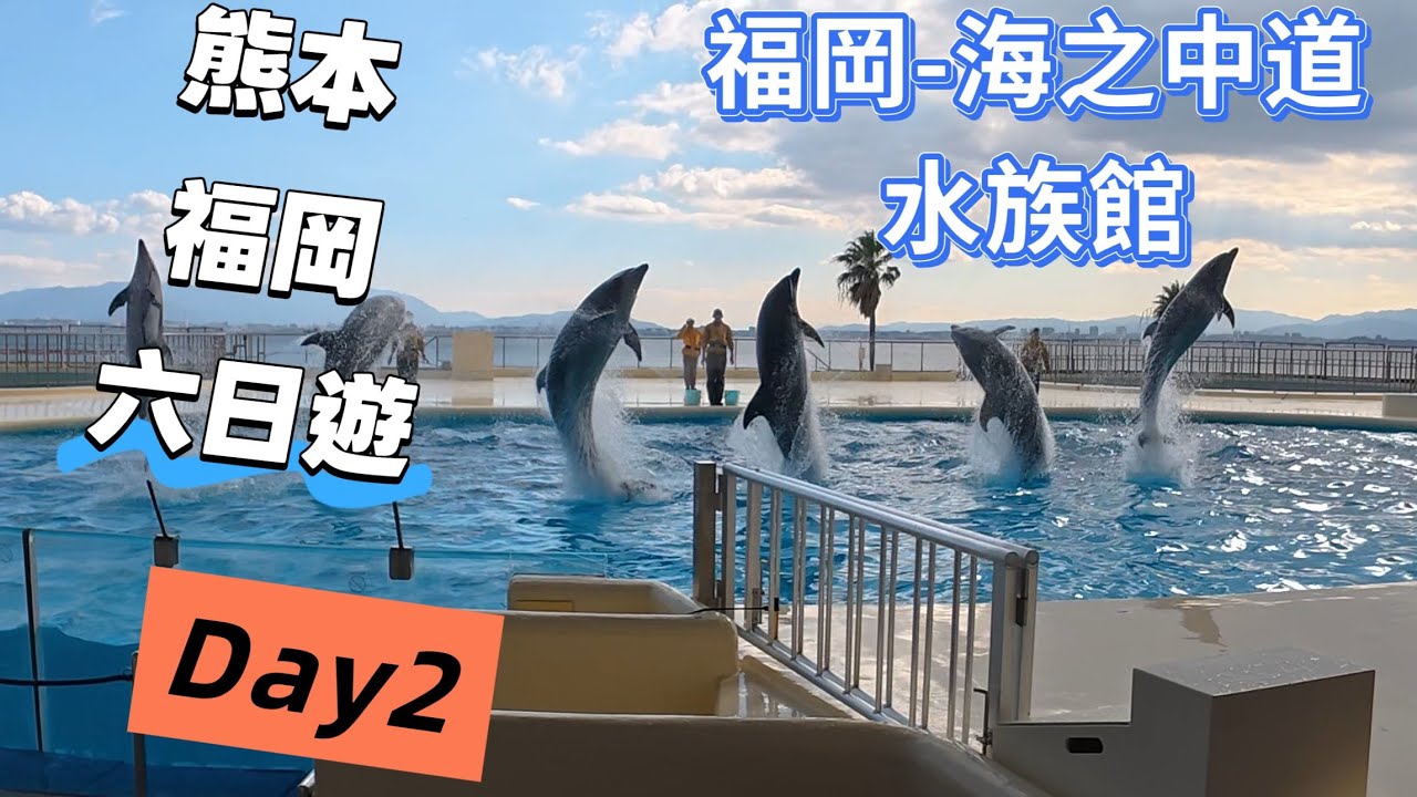 福岡熊本6日遊-Day2-海之中道水族館，超近距離CP值很高的行程，不用排隊的一蘭拉麵，lalaport超大鋼彈