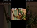 #喜剧 #搞笑 #高能段子手 #喜人奇妙夜 #沙雕剧情 #喜人奇妙夜2 #爆笑 #娱乐评论大赏 #遊戲