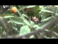 مسلسل الحب كله الحلقة 5