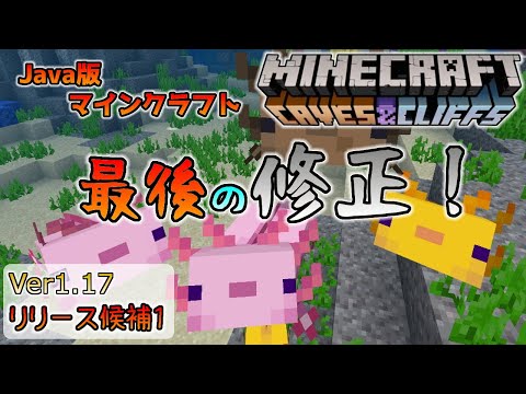 [Minecraft Information] Ver1.17 Final release candidate! Future update information Release candid...