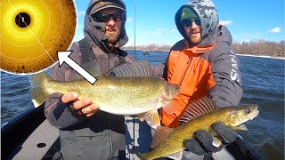 CRUSHING Early Spring Walleyes!