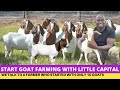 How To Start GOAT FARMING With Little Capital And GROW BIG