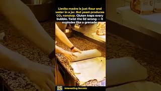 Why This Bread Dough Explodes Like a Pressure Bomb