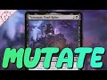 Lets mutate and dominate  tatsunari toad rider  powerful commander  edh  mtg