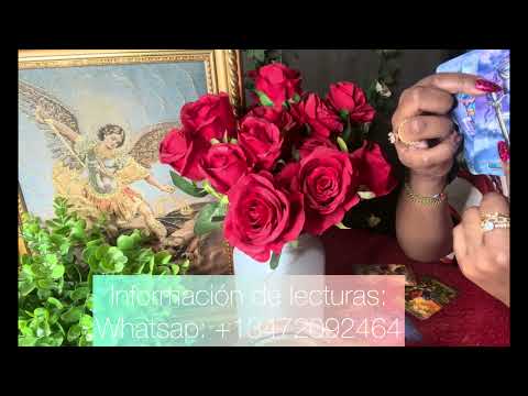 Aries ♈️ #hoy #horoscopohoy #tarotlectura #anaikapye #aries2026