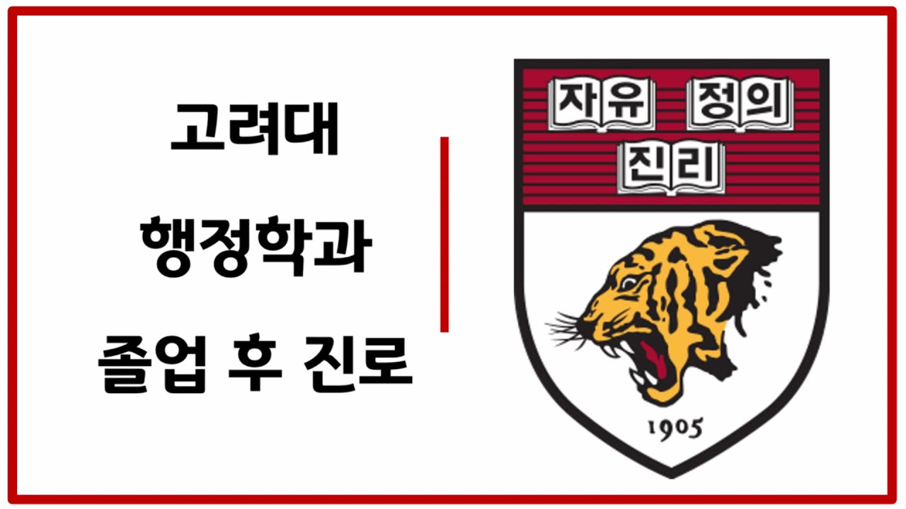 미미미누는 거들뿐, 공공으로 잘나가는 | 고려대 행정학과 | 졸업하고 어디가?