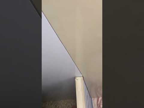 БЕЗУМНЫЙ ПАША. ИРИШКА