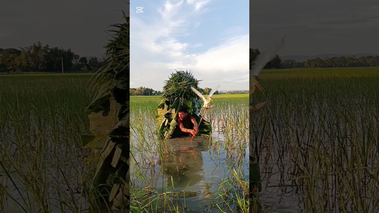 Village Buck Rice Mart