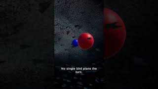 Full How a Boid Flock Moves as One #Boids #Flocking #Unity #simulation Update