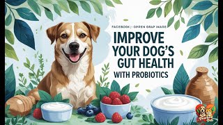 Top 7 Best Probiotics for Dogs: Improve Gut Health & Digestion 🐾💕
