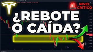 ¡ALERTA TESLA! Tocó Soporte Clave... ¡Nivel Decisivo! 📊