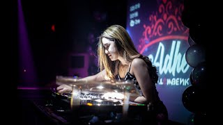 Kuda Poni Hutan Is Back 