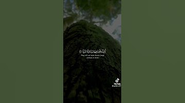 (إنّ جهنم كانت مرصادا) | سورة النبأ | حالات واتس اب دينية | بصوت عبدالرحمن مسعد 🌿