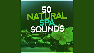 Peaceful Birdsong - The Sounds of Earth Group