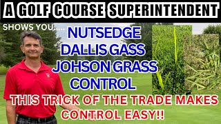 Effective & Safe Weed Control: Kill Nutsedge, Johnsongrass, Dallisgrass & More"