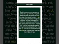 rut # Expand Your English Vocabulary