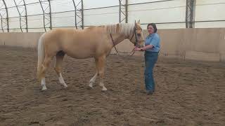 видео: Проблемы с мышцами спины Часть 2 картинка: Проблемы с мышцами спины Часть 2