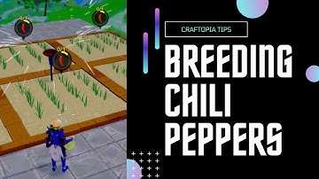 Breeding seeds to obtain chili peppers in Craftopia