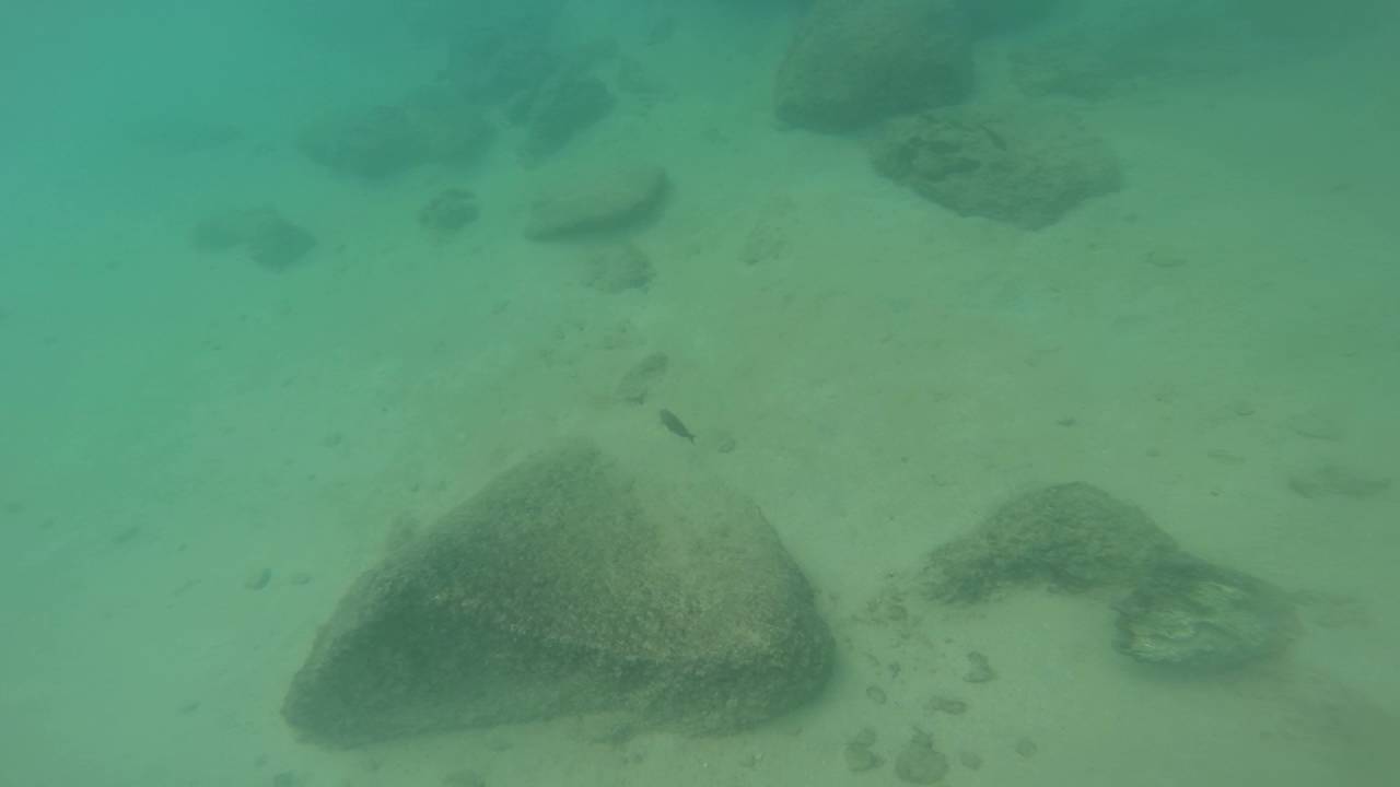 Snorkeling at Ko'Olina, Oahu, Hawaii YouTube