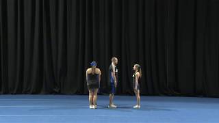 YCADA Cheer - Rules Interpretation - (Level 3) - Inversions