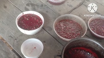 Phong tục cho tổ tiên dân tộc khmu