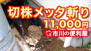 【庭木抜根】メキシコチモラン切り株滅多斬りブルーベリー・バラ植え替え作業千葉県市川市の便利屋各作業料一覧、お問い合わせ先は概要欄をご覧下さい