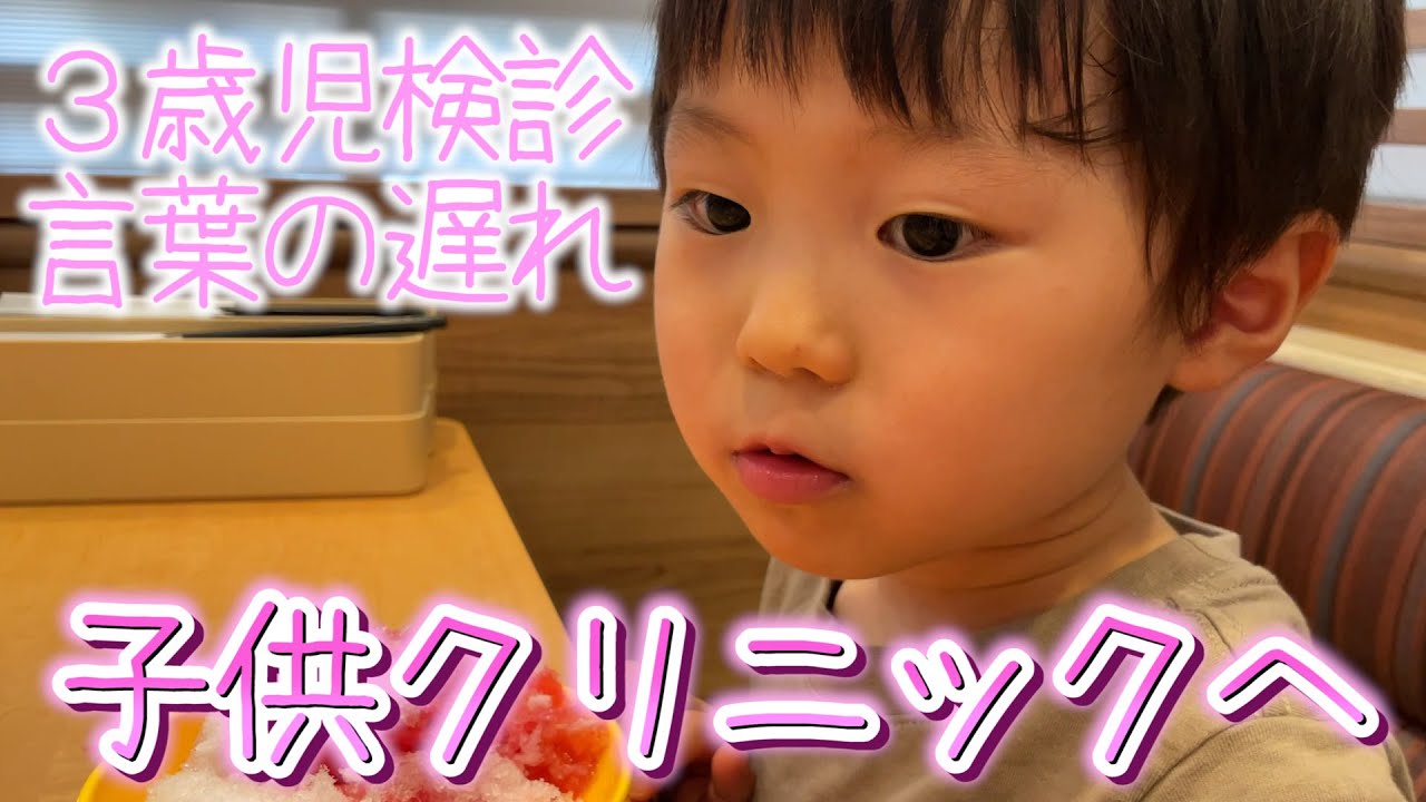 ３歳児検診で「言葉の遅れ」を指摘された息子と子供クリニックに行ったら勉強になりすぎた