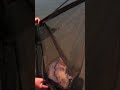 CARP FISHING - THE ALPS ADVENTURE - PART 2