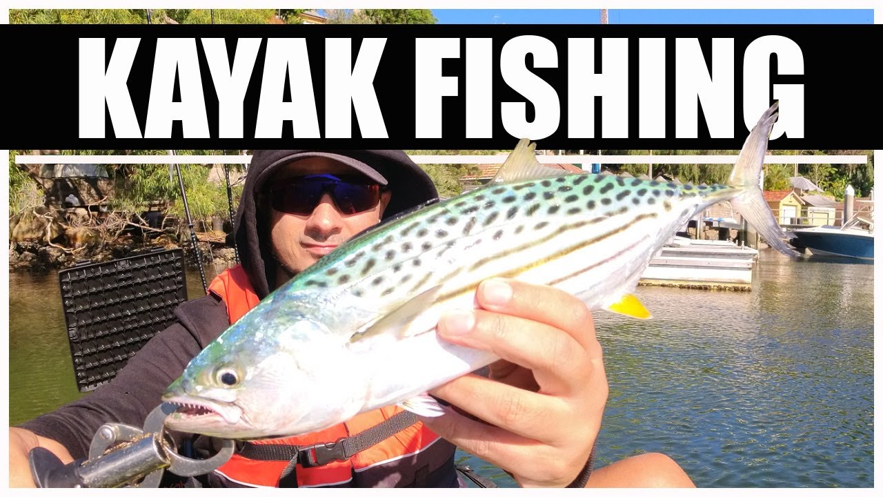 Kayak Fishing Sydney Surprise Catch! YouTube
