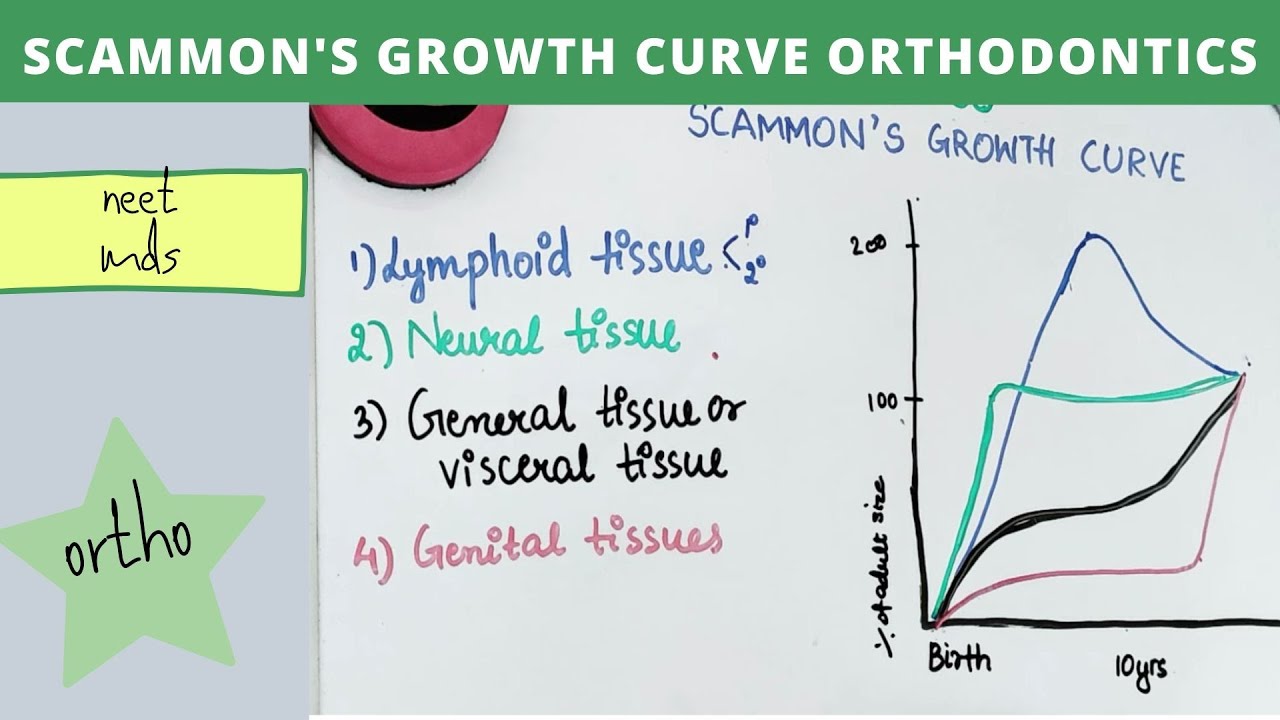 scammon's growth curve orthodontics YouTube